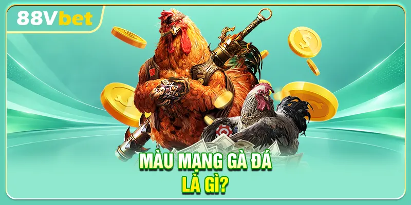 Màu mạng gà đá là gì?